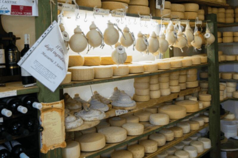 MOZZARELLA WITH YOUR OWN HANDS, EXPERIENCE ON THE FARM - Key Points