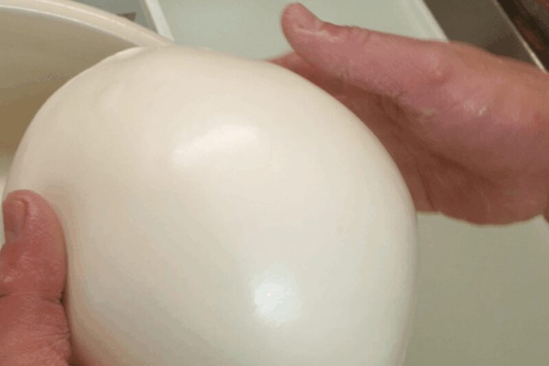 MOZZARELLA WITH YOUR OWN HANDS, EXPERIENCE ON THE FARM - The Itinerary: What to Expect