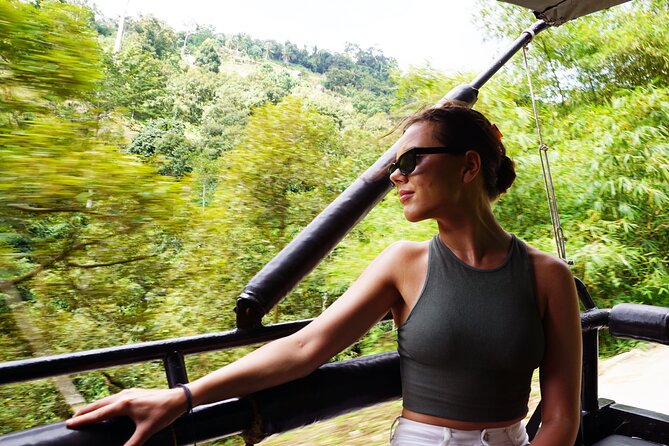 Mr Ungs Jungle Safari Tours (including Lunch) - Secret Buddha Garden and Scenic Views