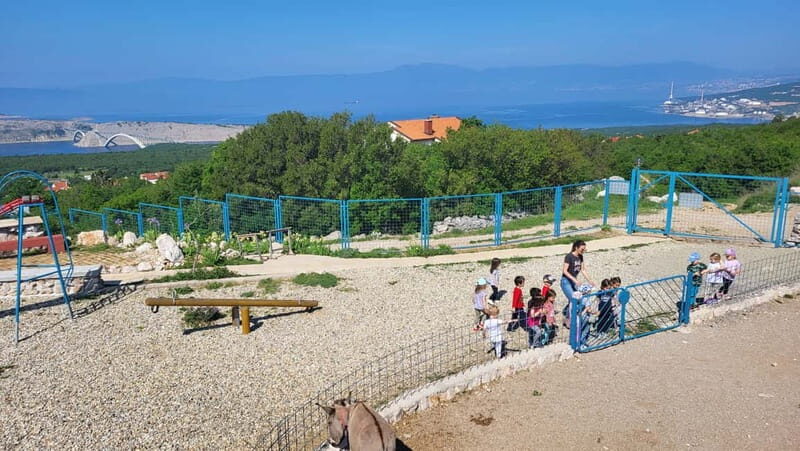 mrika (near Rijeka/Krk/Crikvenica) Donkey Farm Family Fun - A Family Day at the Donkey Farm Near Rijeka – An Authentic Croatian Experience