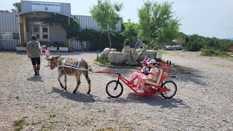 mrika (near Rijeka/Krk/Crikvenica) Donkey Farm Family Fun - The Value of the Experience