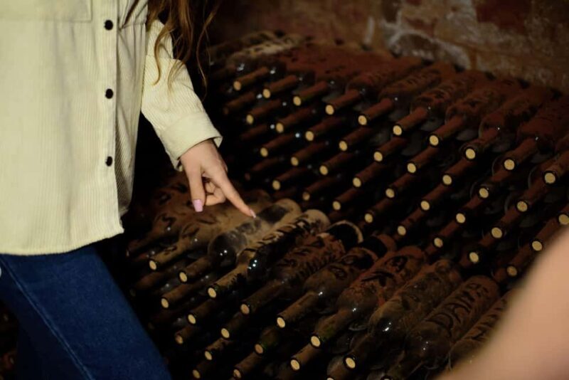 Mt. Ararat: Wine Tasting & Dinner at Tushpa Winery - Authentic Armenian Hospitality and Culture