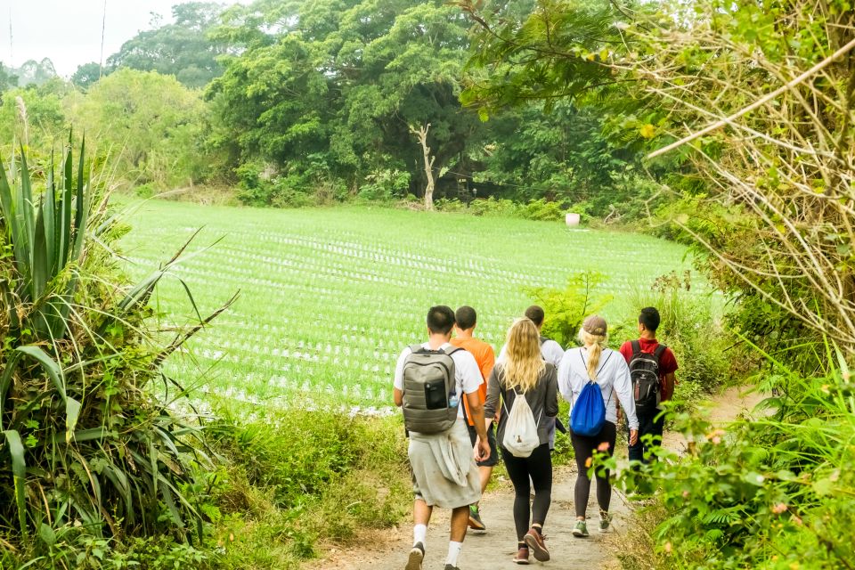 Mt. Batur Sunrise Hike With 1-Night Stay in Kintamani - Pricing and Reservation