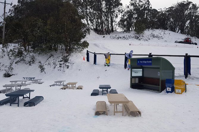 Mt Buller Day Trip from Melbourne - Who Should Consider This Tour?