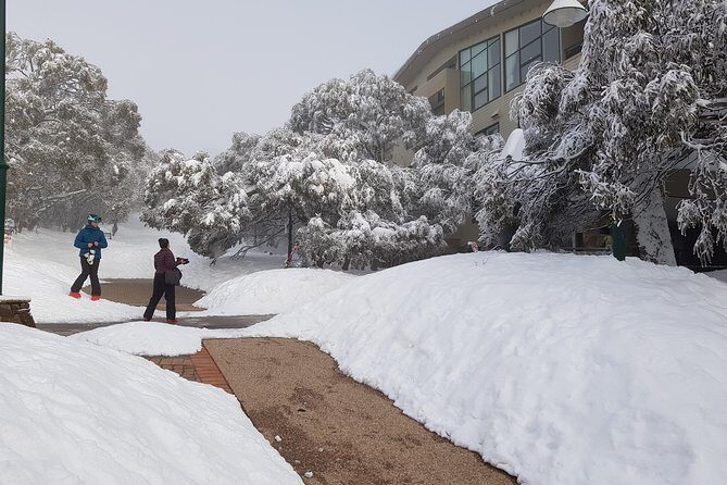 Mt Buller Day Trip from Melbourne - FAQ