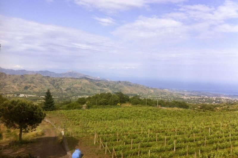 Mt. Etna Private Tour with Food and Wine Tasting - What Makes This Tour Stand Out