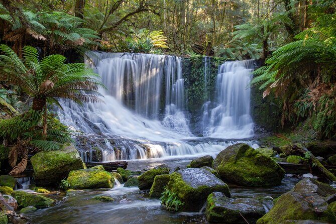 Mt Field National Park and Russell Falls from Hobart - An In-Depth Look at the Tour Experience
