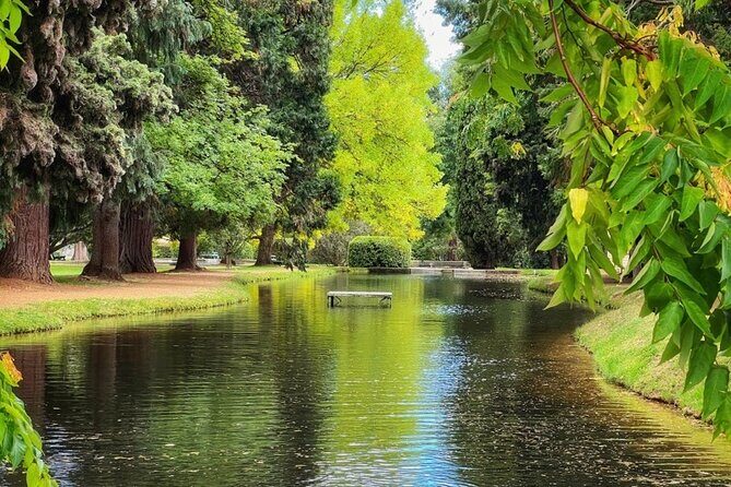 Mt Field National Park and Russell Falls with Bonorong Wildlife - A Closer Look at the Itinerary