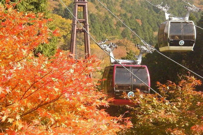 Mt. Fuji 5th Station and Hakone Day Tour From Tokyo - Meeting and Pickup
