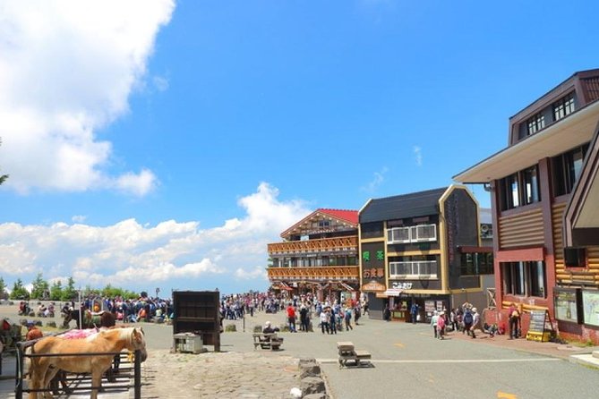 Mt. Fuji and Hakone Day Trip From Tokyo With Bullet Train Option - Additional Information