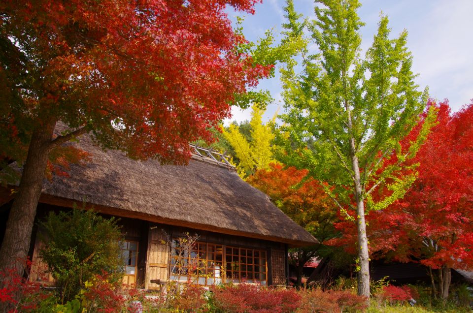 Mt.Fuji and Hakone Tour - Features