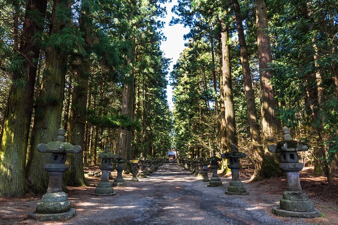 Mt.Fuji and Hakone Tour - Participation Requirements