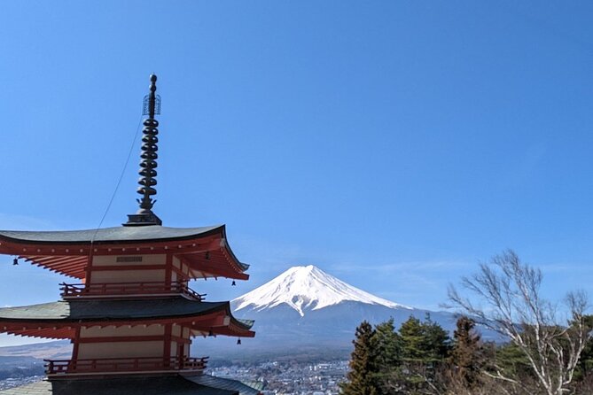 Mt. Fuji and Lake Kawaguchi Day Trip With English Speaking Driver - Pickup and Customization