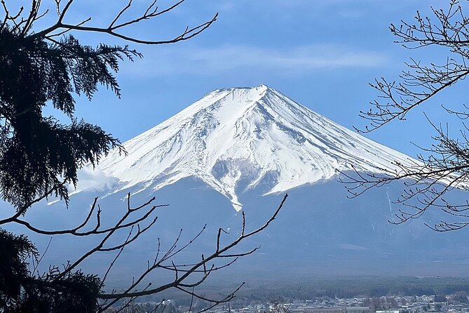 Mt. Fuji and Lake Kawaguchi Day Trip With English Speaking Driver - Transportation and Guide