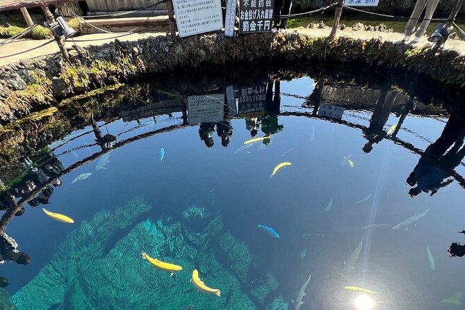 Mt. Fuji and Lake Kawaguchi Day Trip With English Speaking Driver - Cancellation Policy