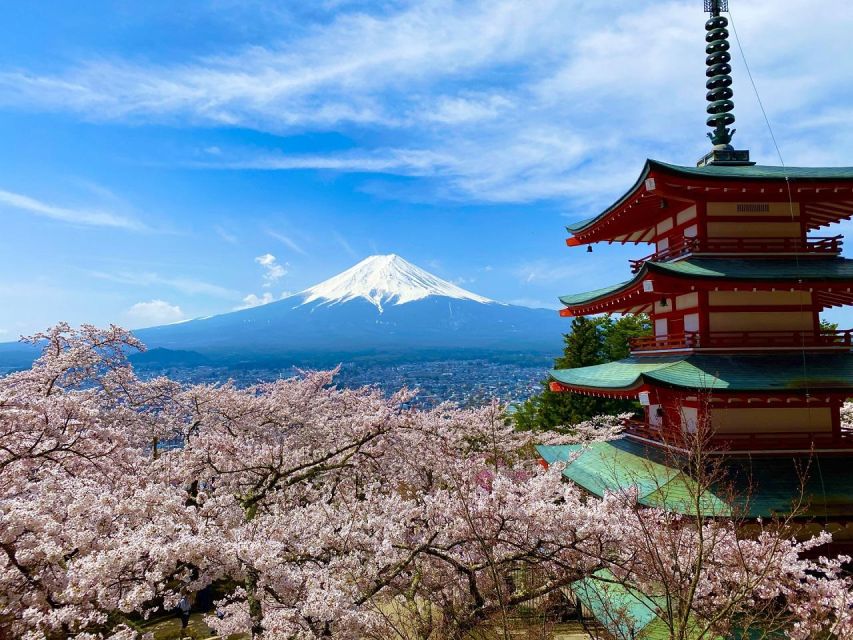 Mt. Fuji Area One Day Private Tour From Tokyo - Oshino Hakkai Experience