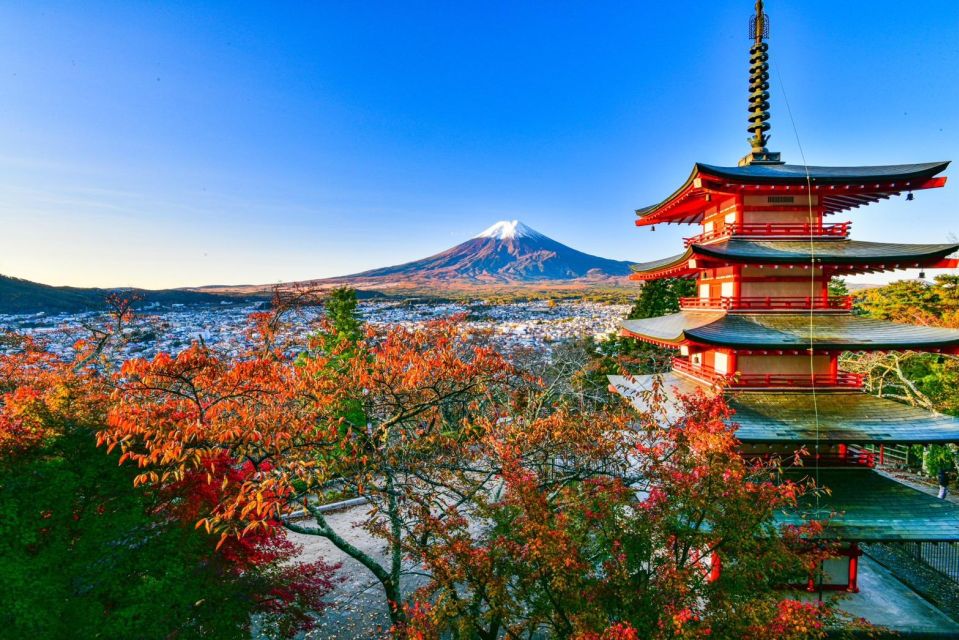 Mt. Fuji Area One Day Private Tour From Tokyo - Lawson Fujikawaguchiko Town Hall