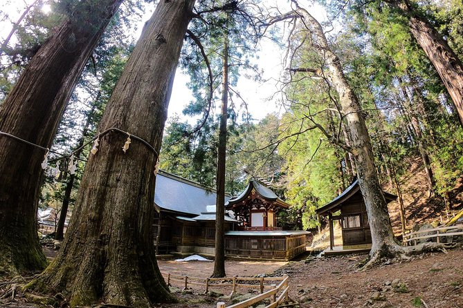 Mt Fuji Area Private Guided Tours in English-Nature up Close, Quiet, Personal - Customized Itinerary for Your Preferences