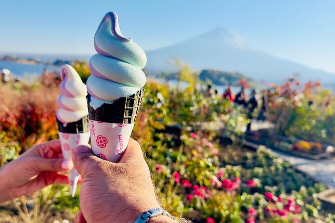 Mt. Fuji & Hakone Cherry Blossom Private One Day Tour - Pickup and Meeting Points