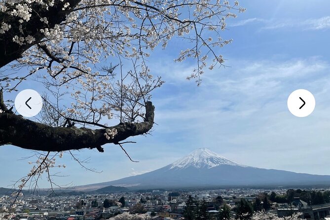 Mt. Fuji, Hakone Full-Day Private Tour With English Driver Guide - Meeting and Pickup