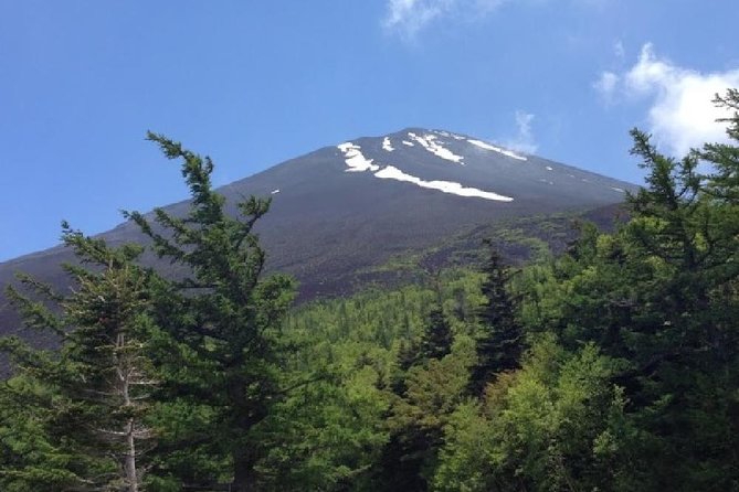 Mt Fuji, Hakone, Lake Ashi Cruise 1 Day Bus Trip From Tokyo - Lunch Option