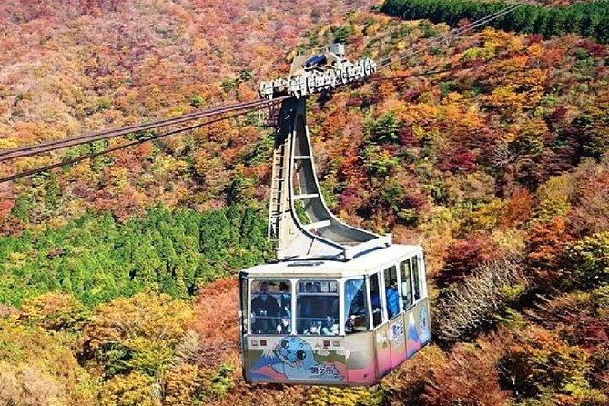 Mt Fuji, Hakone Lake Ashi Cruise Bullet Train Day Trip From Tokyo - Additional Information for Travelers