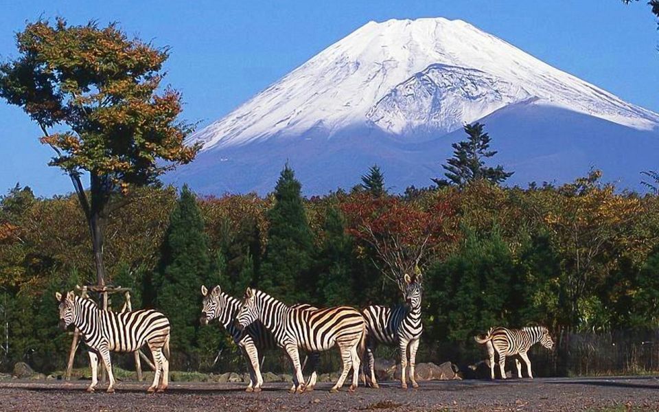 Mt Fuji : Highlight Tour and Unforgettable Experience - Itinerary