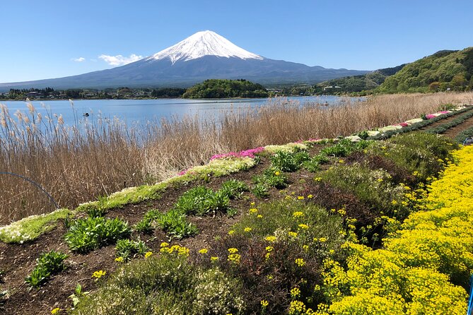 Mt.Fuji (Plus Gotemba)Tour , From/To Tokyo&Yokohama, up to 12 - Booking Information