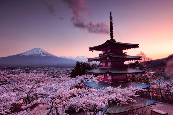 Mt Fuji Private Day Tour With English Speaking Driver - Pickup and Dropoff