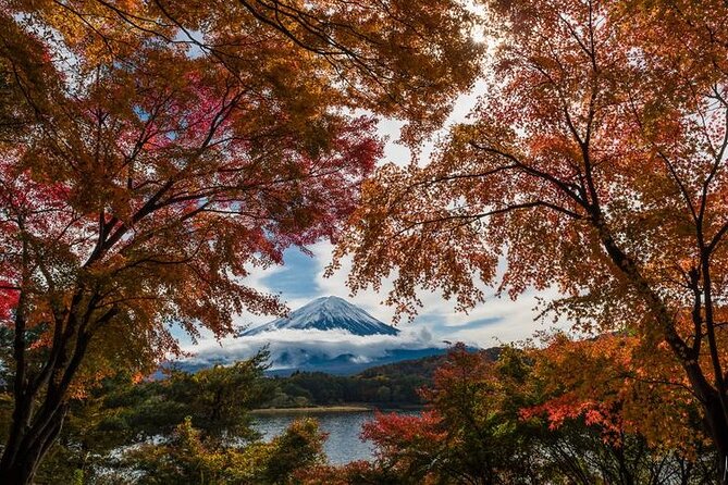 Mt. Fuji Private Tour by Car With Pick-Up From Tokyo - Pricing and Availability