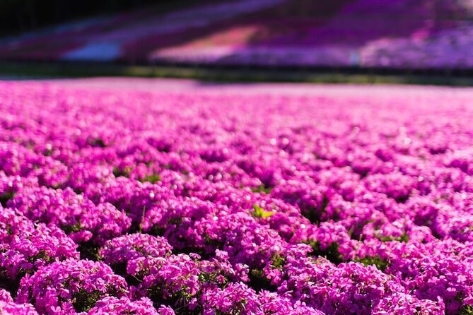 Mt. Fuji Private Tour by Car With Pick-Up From Tokyo - Transportation Provided