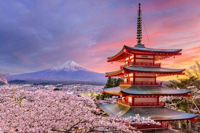 Mt. Fuji Private Tour With English Speaking Driver - Inclusions