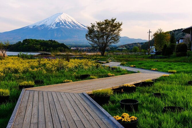 Mt. Fuji Private Tour With English Speaking Driver - Cancellation Policy