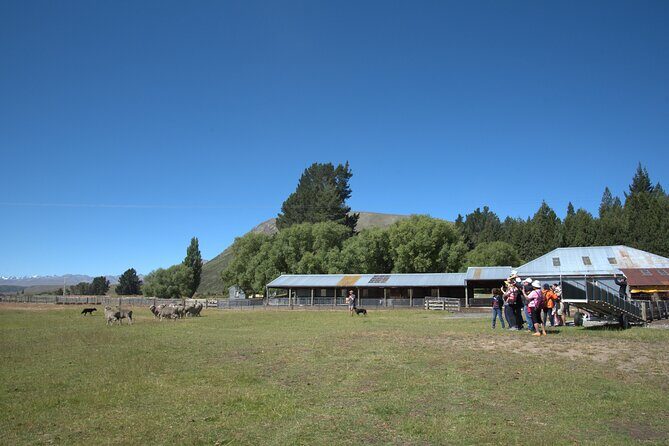 Mt. Hay Farm Experience Genuine Country Farming(Carbon Positive) - Practical Tips for Visitors