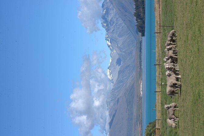 Mt. Hay Farm Experience Genuine Country Farming(Carbon Positive) - FAQ