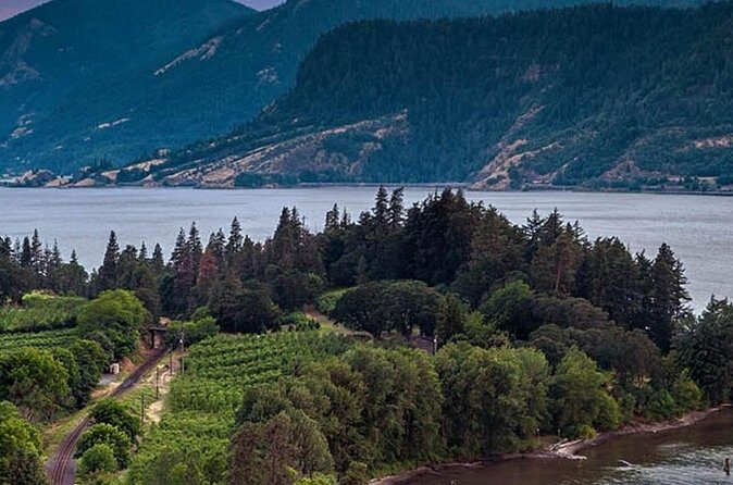 Mt Hood & Columbia River Private tour from Portland - What Travelers Are Saying