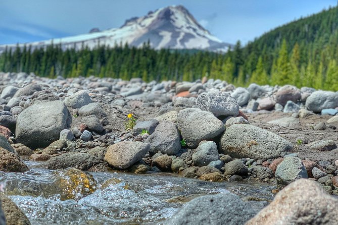 Mt Hood Day Trip From Portland to Multnomah Falls and Hood River - Traveler Recommendations