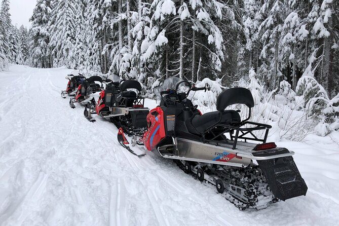 Mt Hood National Forest - 90 Minute Snowmobile Adventure - Practical Details: What You Need to Know