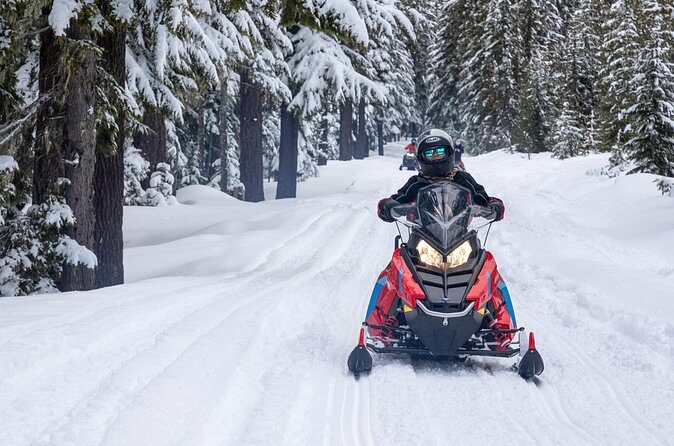 Mt Hood National Forest - 90 Minute Snowmobile Adventure - The Sum Up