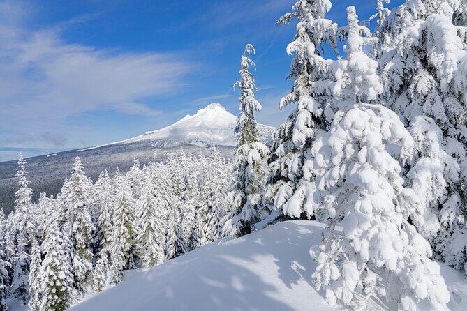 Mt. Hood Winter Wonderland Snowshoe Adventure - The Itinerary in Detail