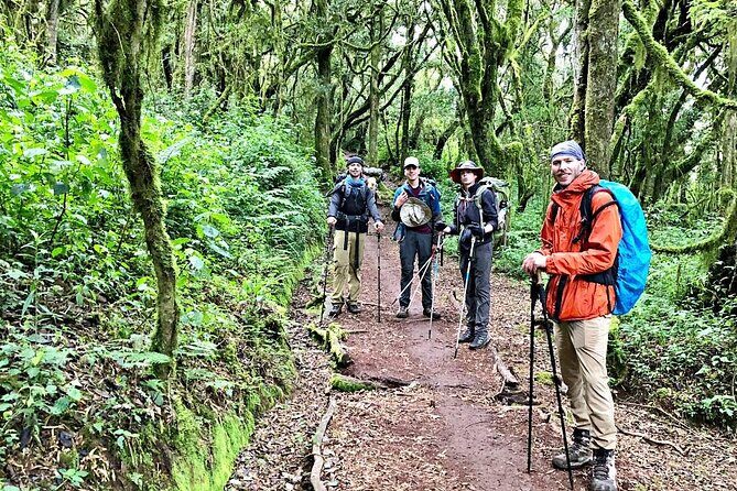 Mt Kilimanjaro Hiking via Marangu Route Day Trip - Introduction: A Quick Look at the Kilimanjaro Day Trip