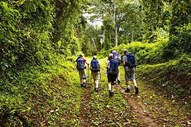 Mt Kilimanjaro Hiking via Marangu Route Day Trip - Who Should Consider This Tour?