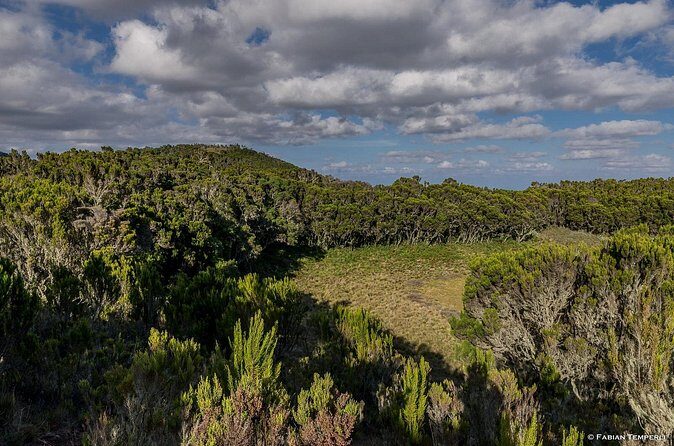 Mt Kilimanjaro Hiking via Marangu Route Day Trip - The Sum Up: Who Will Love This Tour?