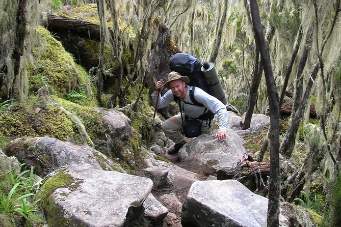 Mt Kilimanjaro Trek, 6 Days - Umbwe Route - Physical Requirements