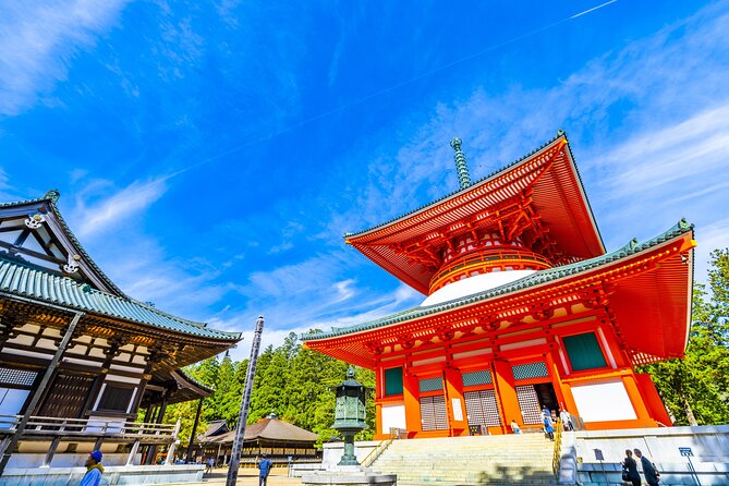 Mt. Koya 8hr Tour From Osaka: English Speaking Driver, No Guide - Accessibility and Safety