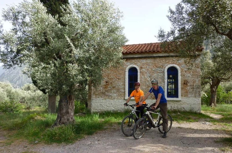 Mt. Parnassos: Mountain Bike in Altitude Forest - A Natural Ride in Parnassos: What to Expect