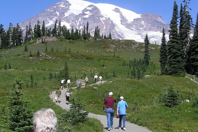 Mt. Rainier Day Tour From Seattle - Traveler Reviews