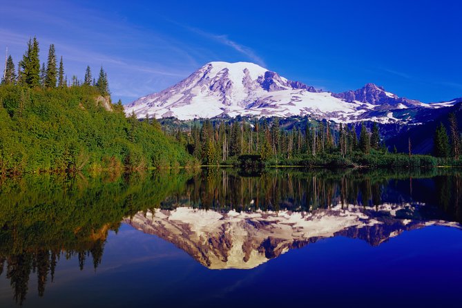 Mt. Rainier Day Tour From Seattle - Guide and Service Feedback