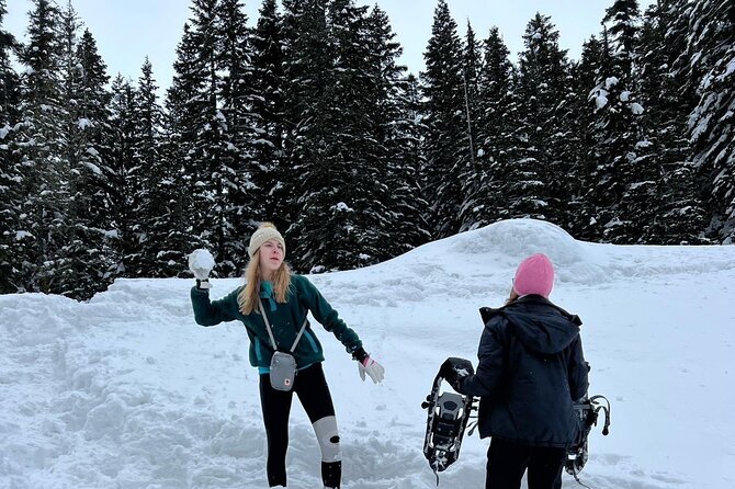 Mt. Rainier Full-Day Adventure (Luxury SUV - Up to 7 Guests) - Vehicle and Duration
