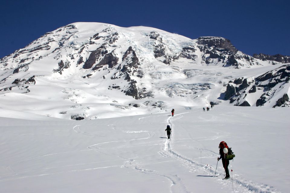 Mt Rainier, Seattle, & Olympic NP Self-Guided Audio Tours - Included Features